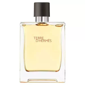 terre d'hermes eau de toilette