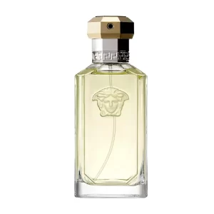 versace dreamer