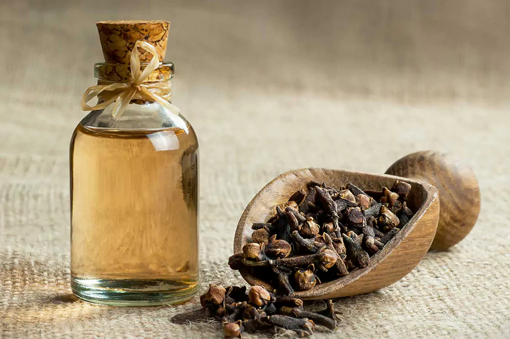 Choosing and Storing Clove Oil