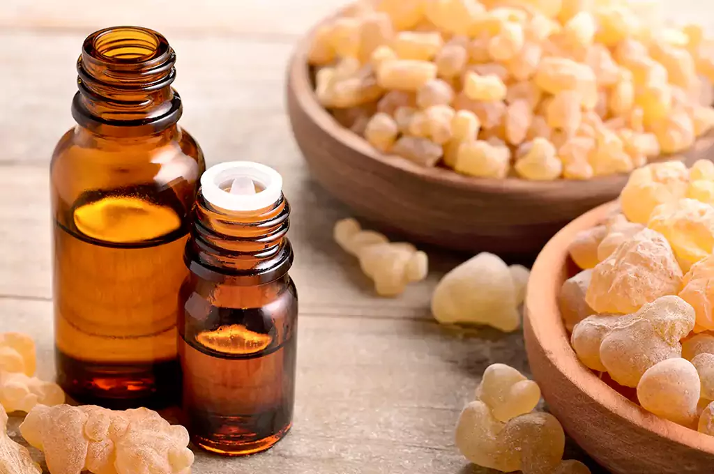 frankincense essential oil's uses and benefits