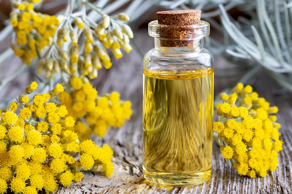 Helichrysum Essential Oil