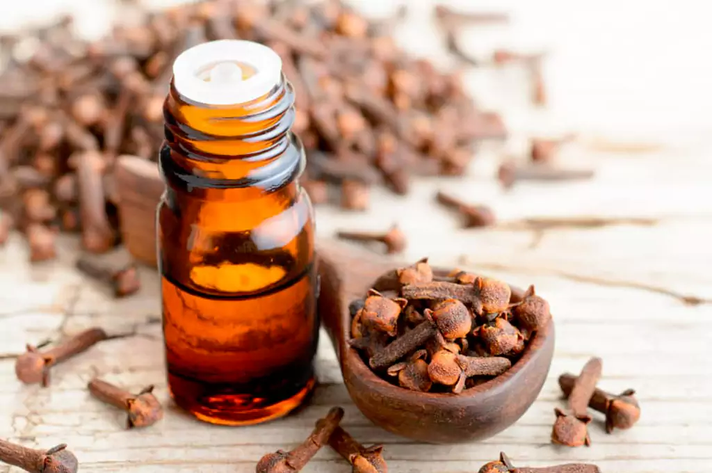 Clove Essential Oil