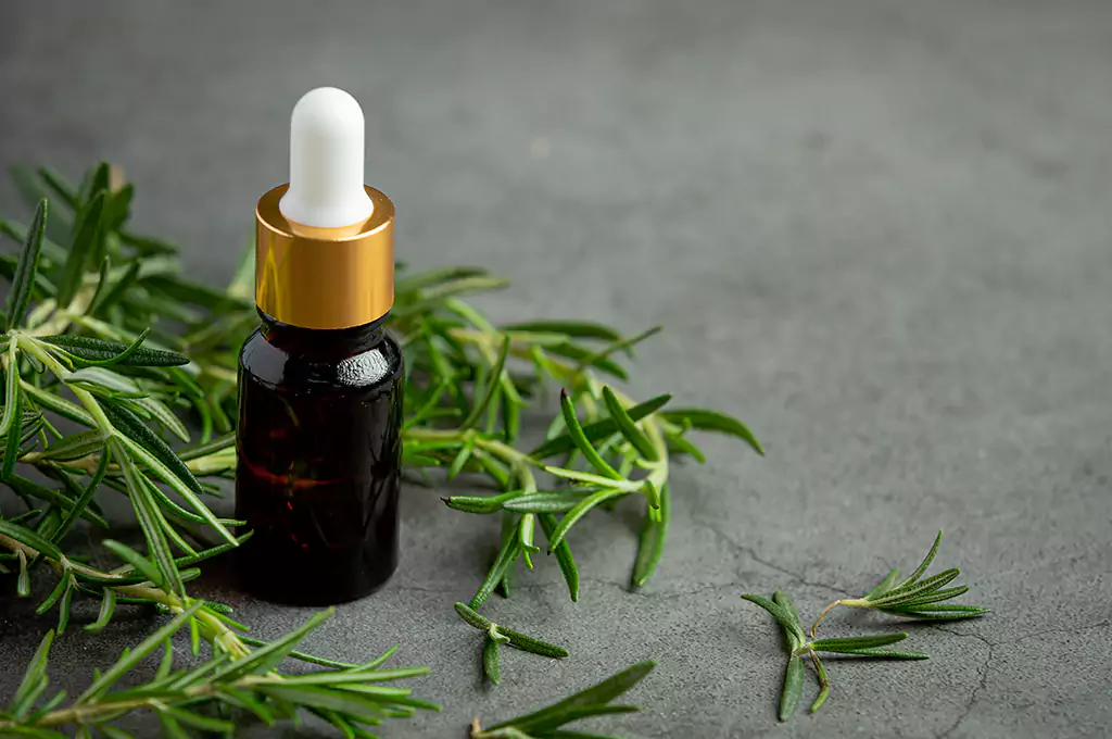 Rosemary Essential Oil