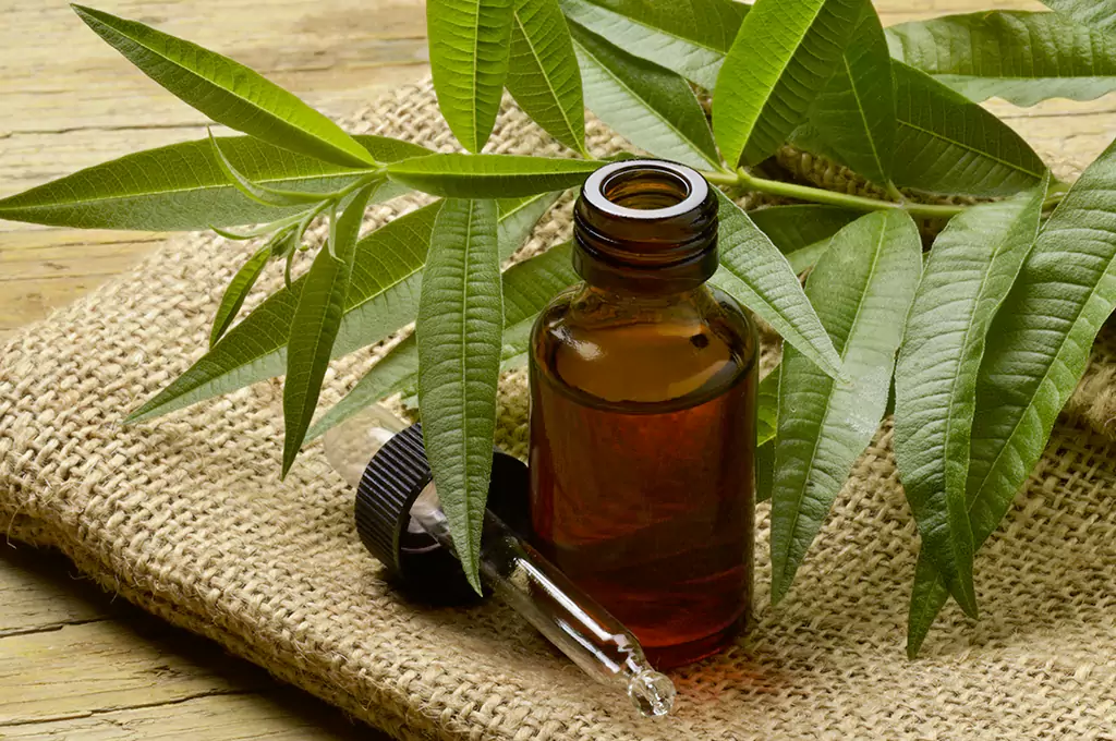 Tea Tree Essential Oil