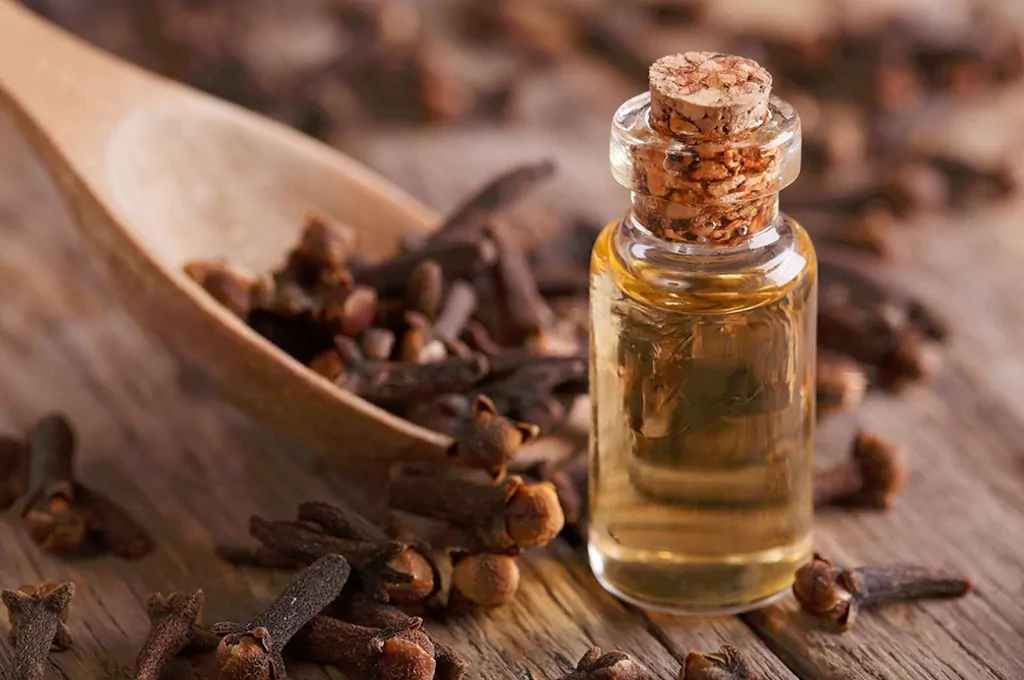 Uses and Benefits of Clove Oil