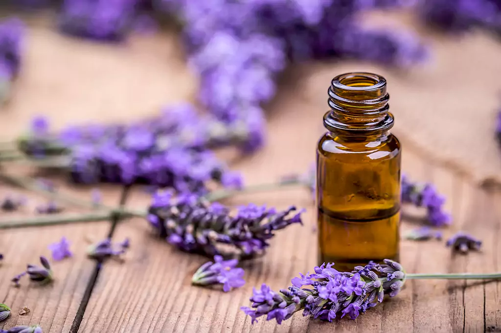 Lavender Essential Oil