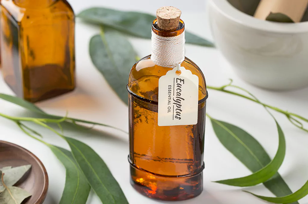 use Eucalyptus essential oil selecting