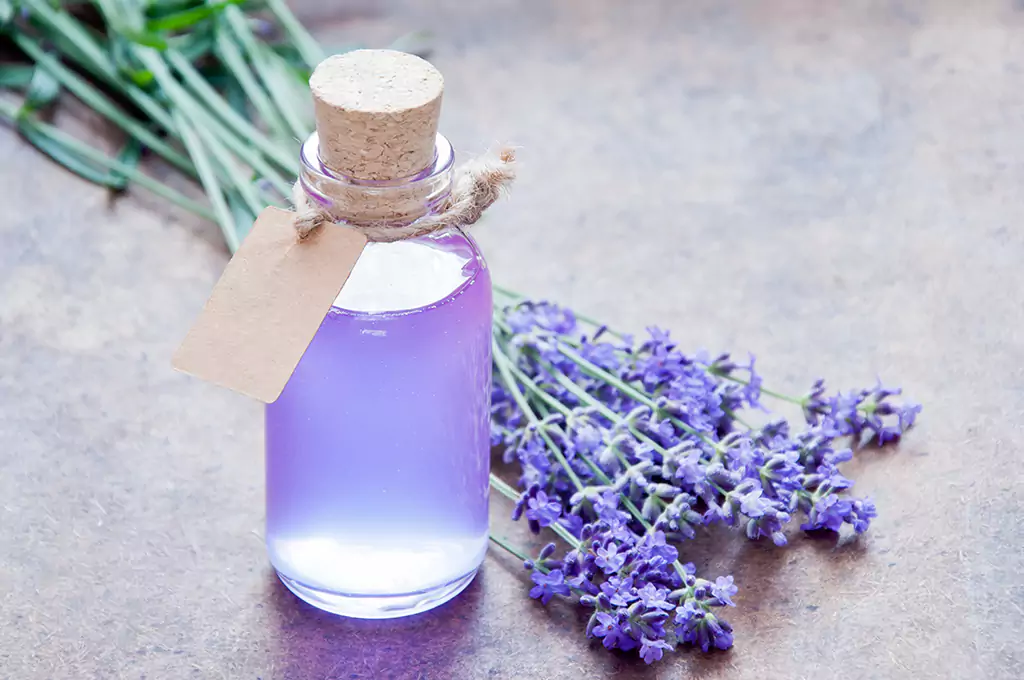 Choosing and Storing Lavender Oil