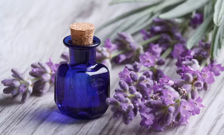 lavender essential oil uses and benefits