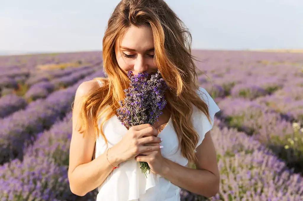 lavender oil effect on Mental Health and Emotional Well-being