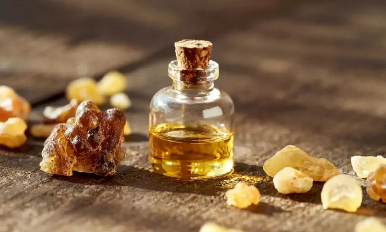 The Wonders Of Frankincense Oil | Frankincense Oil Uses, Benefits, And ...